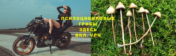 Альфа ПВП Абаза